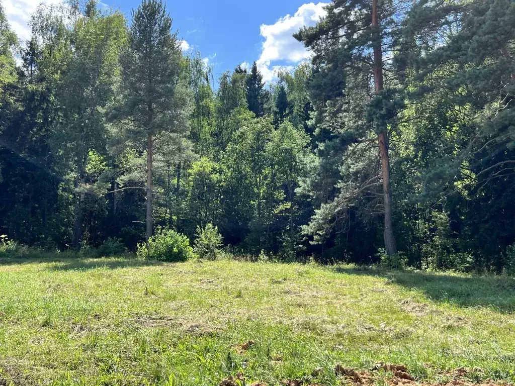 Участок в Московская область, Волоколамский муниципальный округ, Эко ... - Фото 2