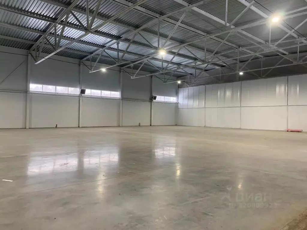 Склад в Владимирская область, Владимир Мостостроевская ул., 2 (3500 м) - Фото 2