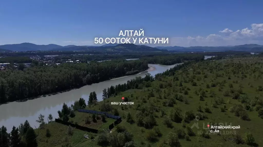 Участок в Алтайский край, Алтайский район, Айский сельсовет  (50.0 ... - Фото 1