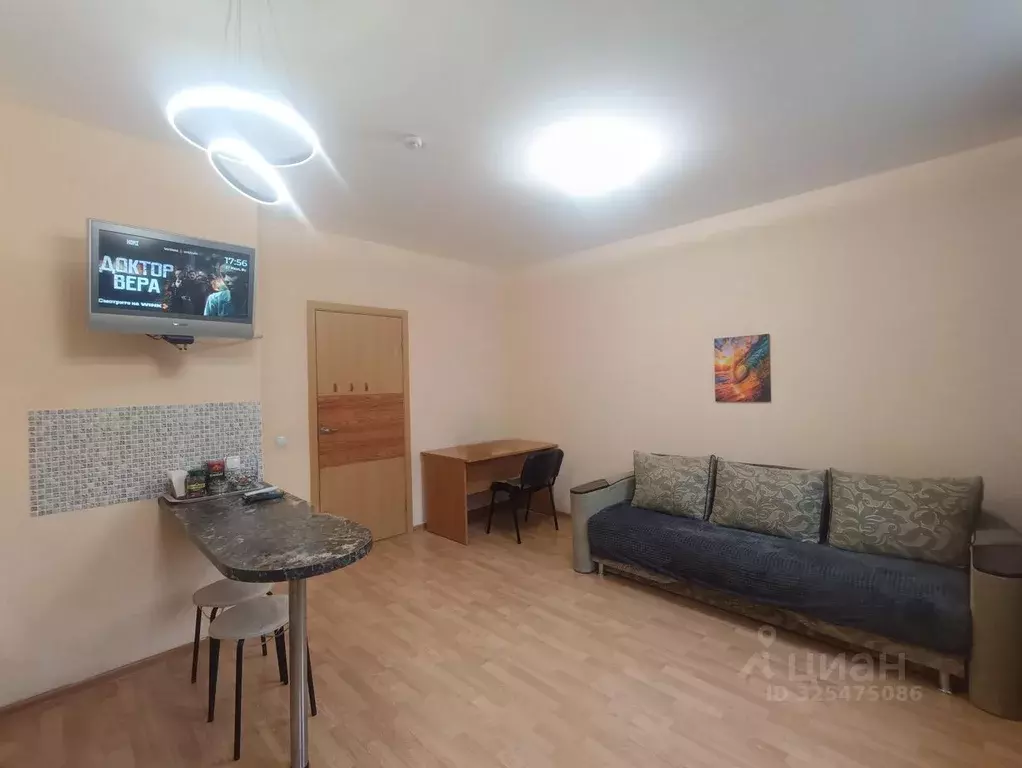 Студия Свердловская область, Екатеринбург ул. Парниковая, 6 (30.0 м) - Фото 2