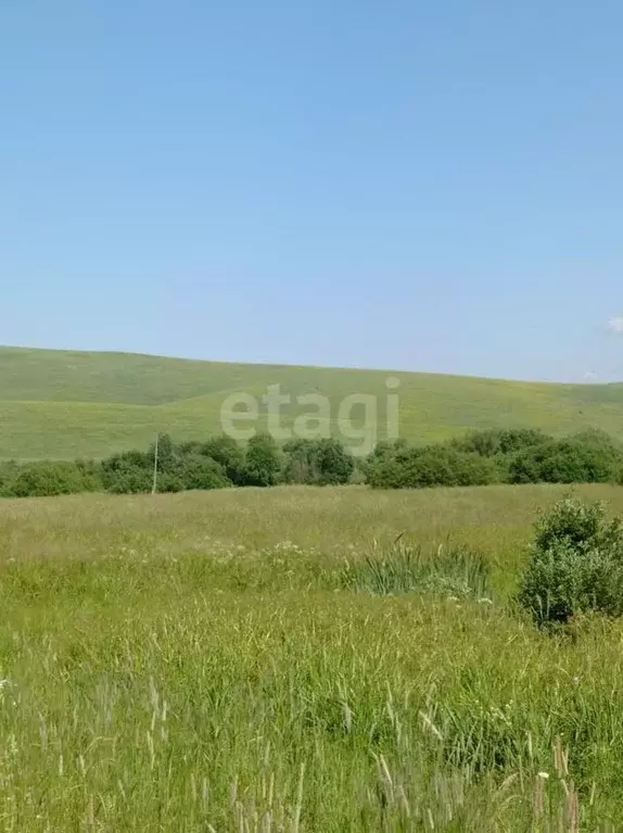 Участок в Алтайский край, Алтайский район, с. Верх-Ая Школьная ул. ... - Фото 1