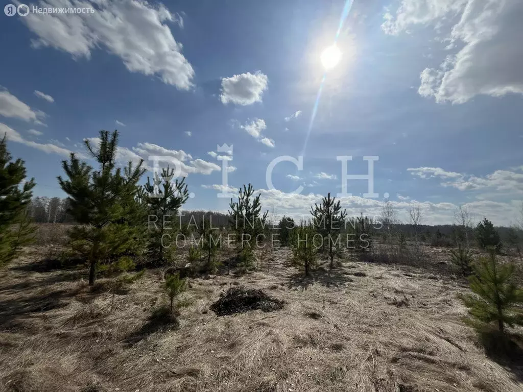 Участок в Челябинская область, Сосновский муниципальный округ, деревня ... - Фото 1