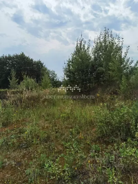 Участок в Московская область, Сергиево-Посадский городской округ, с. ... - Фото 2