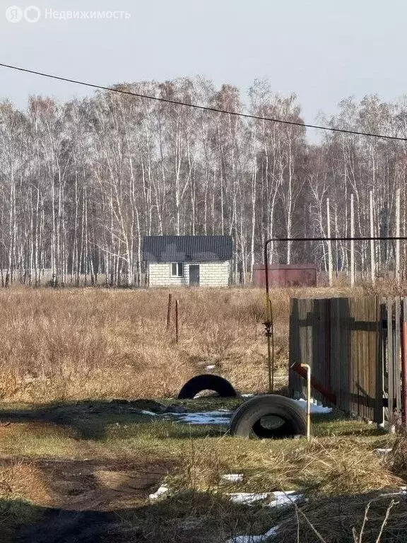 Участок в Омский район, село Усть-Заостровка (13.14 м) - Фото 1