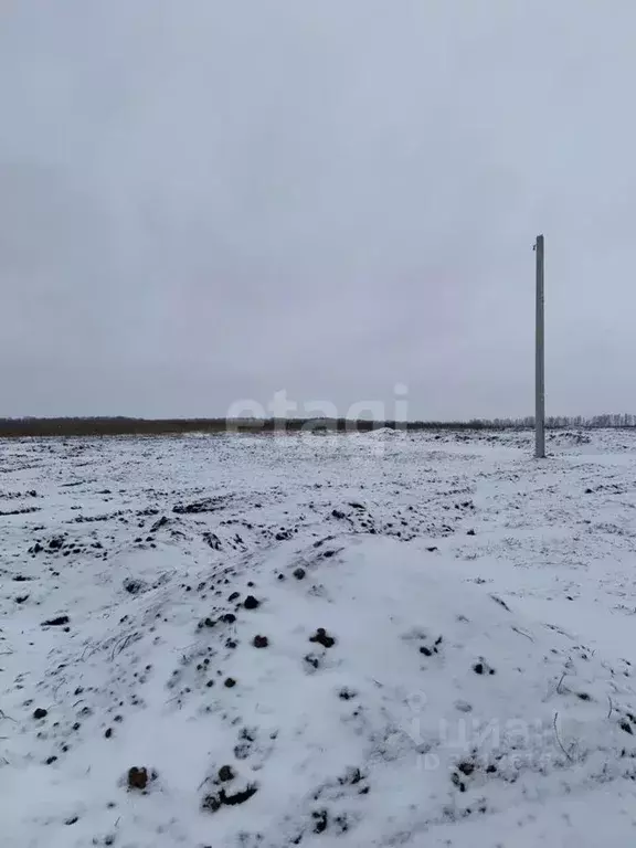 Участок в Белгородская область, Белгородский район, Головинское с/пос, ... - Фото 2
