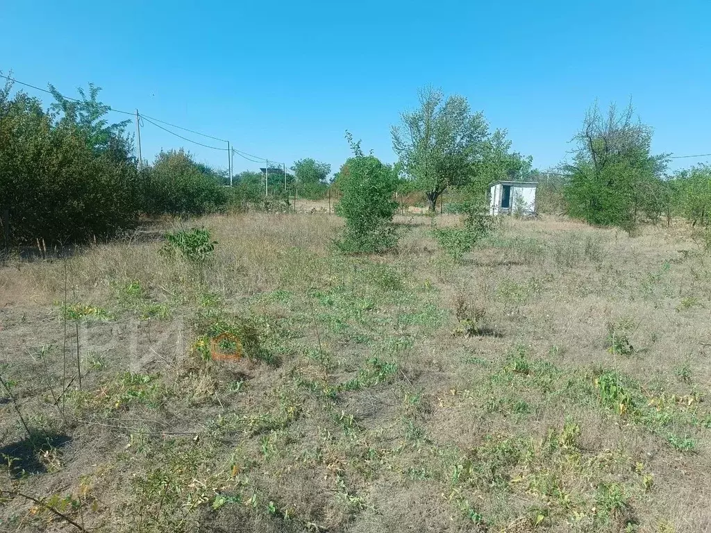 Участок в Крым, Сакский район, Митяевское с/пос, Химик-3 СНТ  (10.0 ... - Фото 1