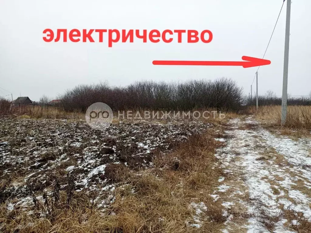 Участок в Рязанская область, Рыбновский район, Ходынинское с/пос, ... - Фото 1