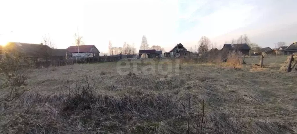 Участок в Брянская область, Навля рп ул. Речная (12.0 сот.) - Фото 1