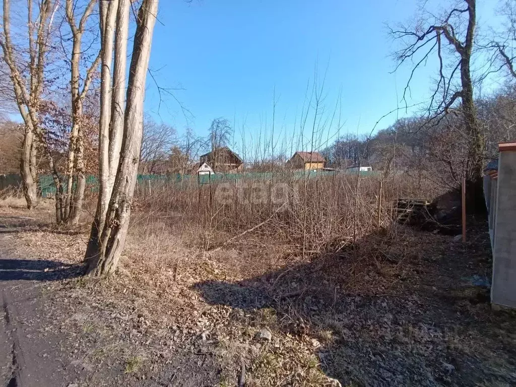 Участок в Калининградская область, Балтийск Друг Природы СНТ,  (6.4 ... - Фото 1