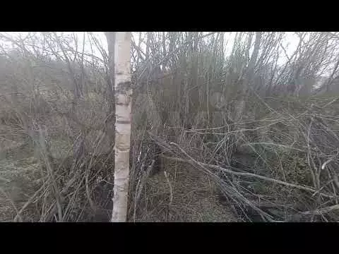 Участок 13 сот. (ИЖС) - Фото 1