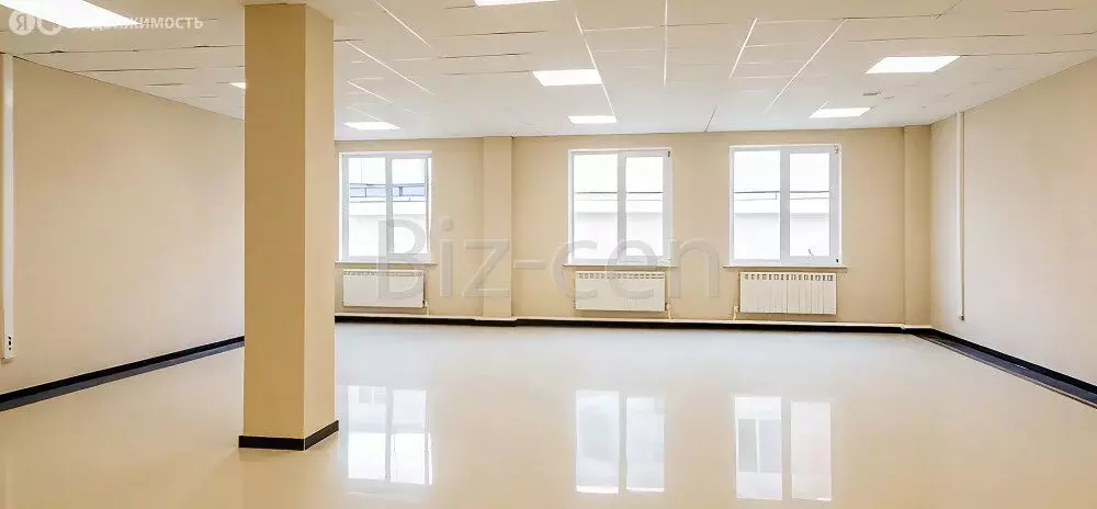 Офис (39.1 м) - Фото 2