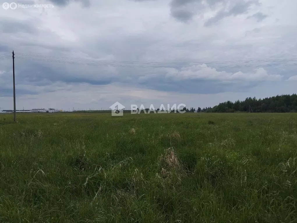 Участок в посёлок Дорожный, территория Плембаза (100 м) - Фото 0