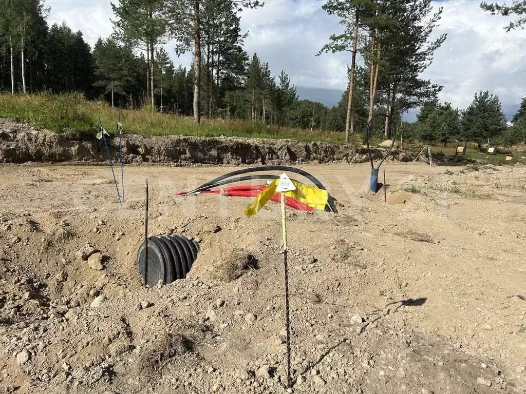 Участок в Ленинградская область, Приозерский район, Громовское с/пос, ... - Фото 1
