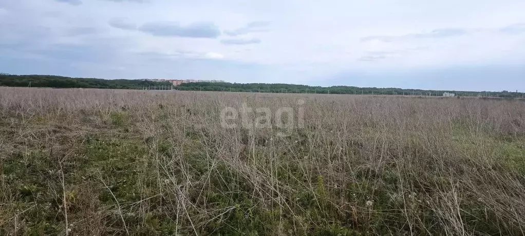 Участок в Воронежская область, Семилукский район, с. Девица, Поречье-2 ... - Фото 1