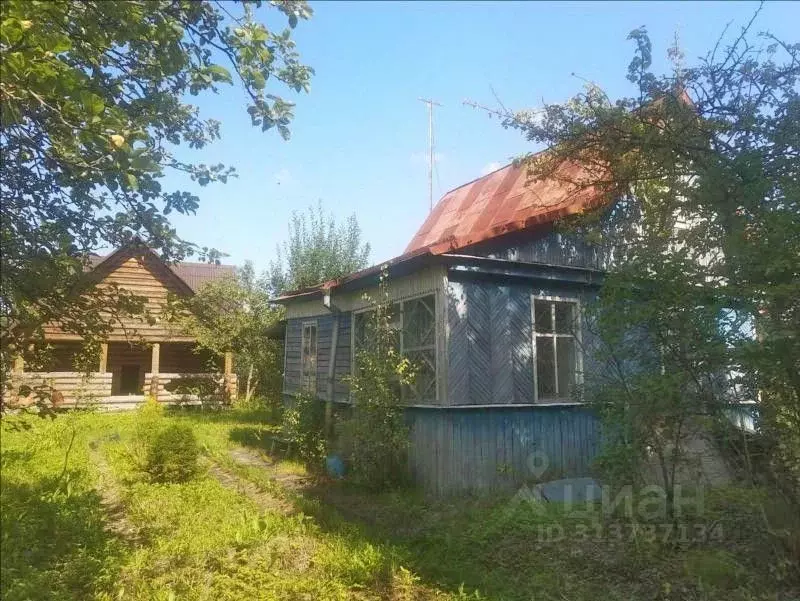 Дом в Санкт-Петербург Дружный-2 СНТ, аллея Центральная, 42 (33 м) - Фото 0