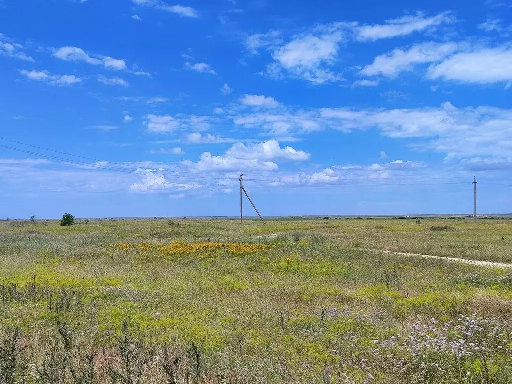 Участок в Крым, Симферопольский район, с. Доброе  (201.0 сот.) - Фото 2