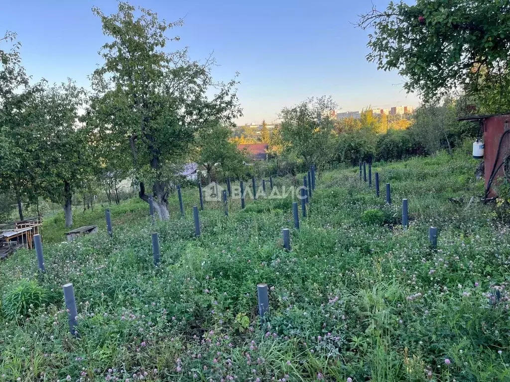 Участок в Пензенская область, Пенза Золотая Осень садовое дачное ... - Фото 1