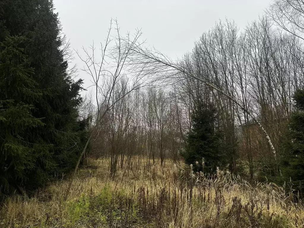 Участок в Московская область, Дмитровский муниципальный округ, с. ... - Фото 2