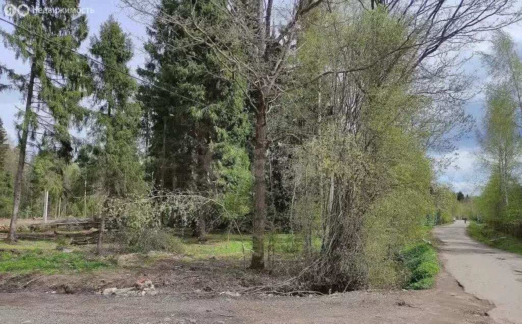 Участок в Московская область, городской округ Солнечногорск, КП ... - Фото 0