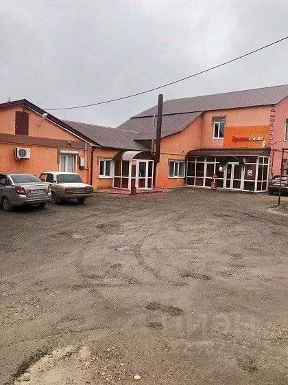 Торговая площадь в Самарская область, Камышла с/пос, с. Камышла ул. ... - Фото 1