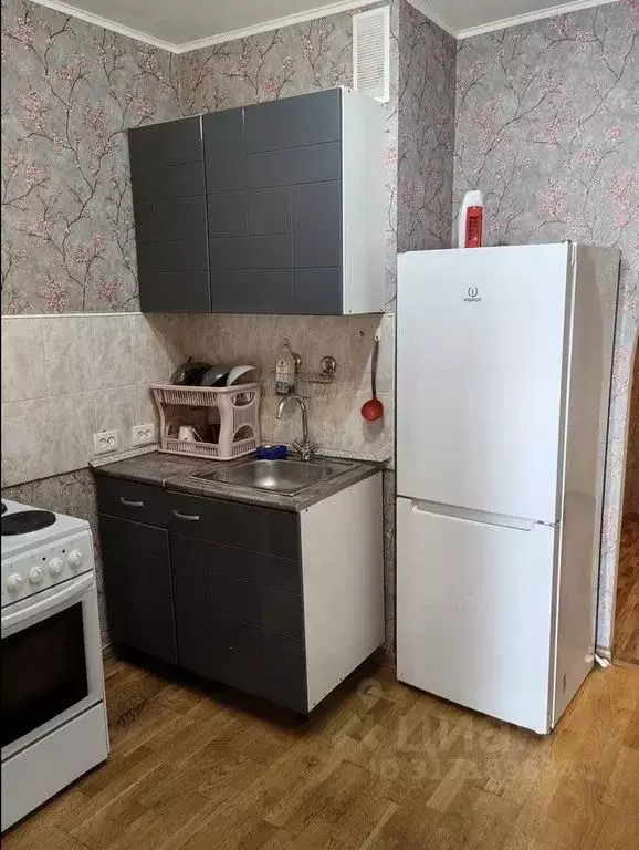 Студия Ленинградская область, Мурино Всеволожский район, бул. ... - Фото 0