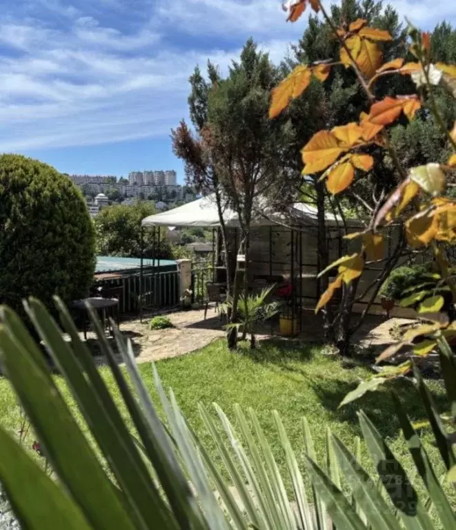 Студия Краснодарский край, Сочи Новый Сочи мкр, ул. Клубничная, 1/6 ... - Фото 1