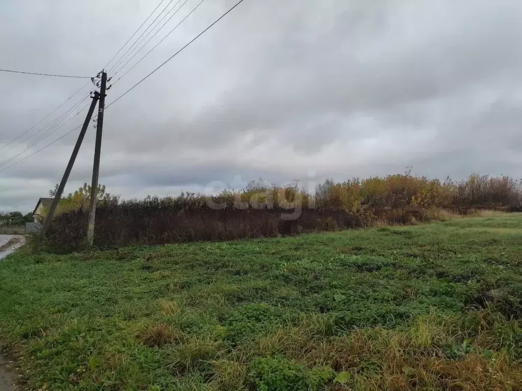 Участок в Брянская область, Брянский район, Отрадненское с/пос, д. ... - Фото 2