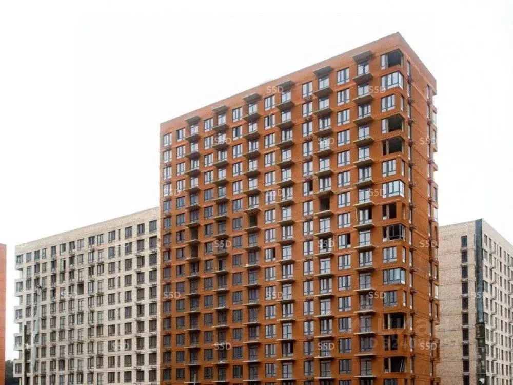 Торговая площадь в Московская область, Балашиха Квартал Авиаторов ... - Фото 1