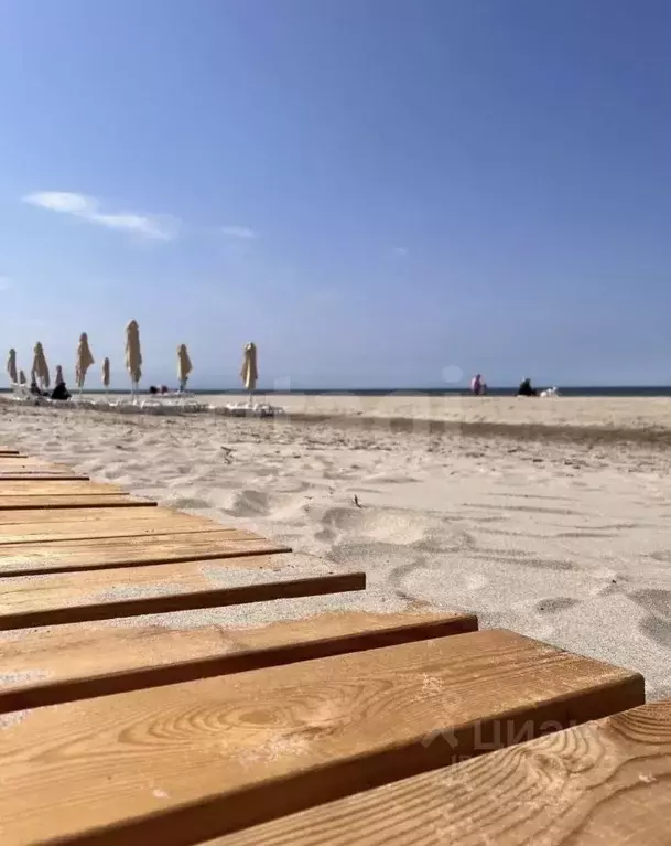 Участок в Калининградская область, Светлогорский городской округ, пос. ... - Фото 2