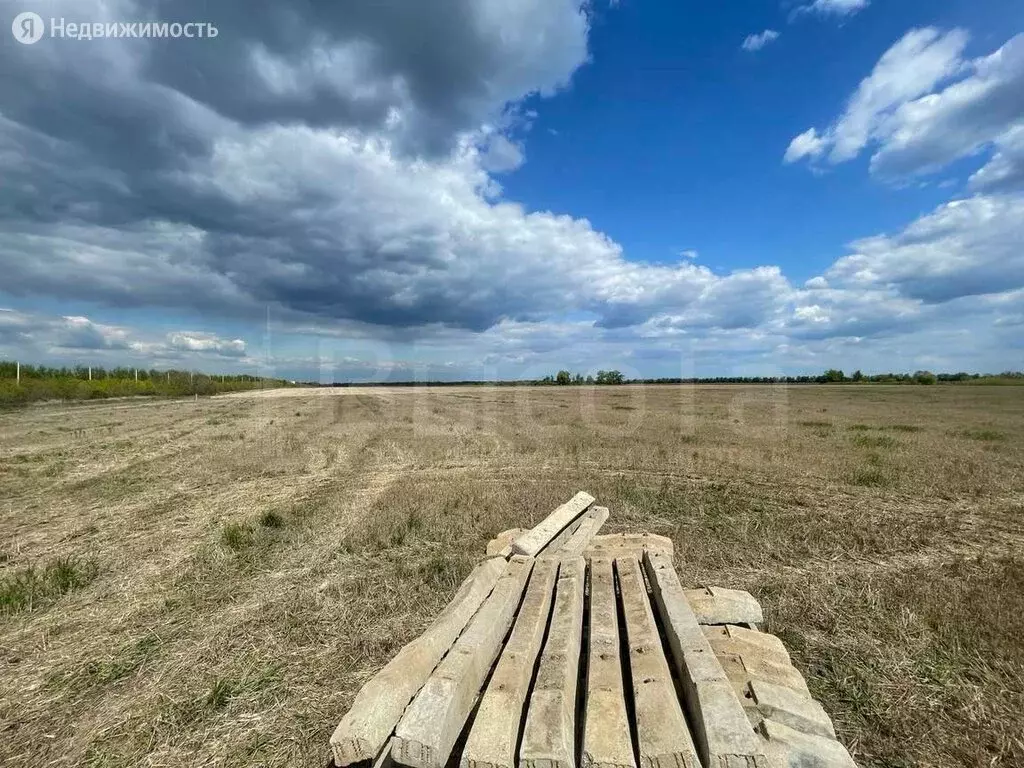 Участок в село Новая Усмань, микрорайон Соловьиный (10 м), Купить земельный  участок Новая Усмань, Новоусманский район, ID объекта - 20007067696