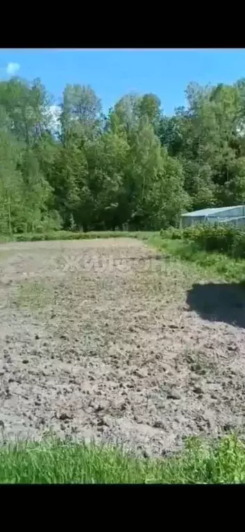 Участок в Брянская область, Карачевский район, Верхопольское с/пос, с. ... - Фото 1