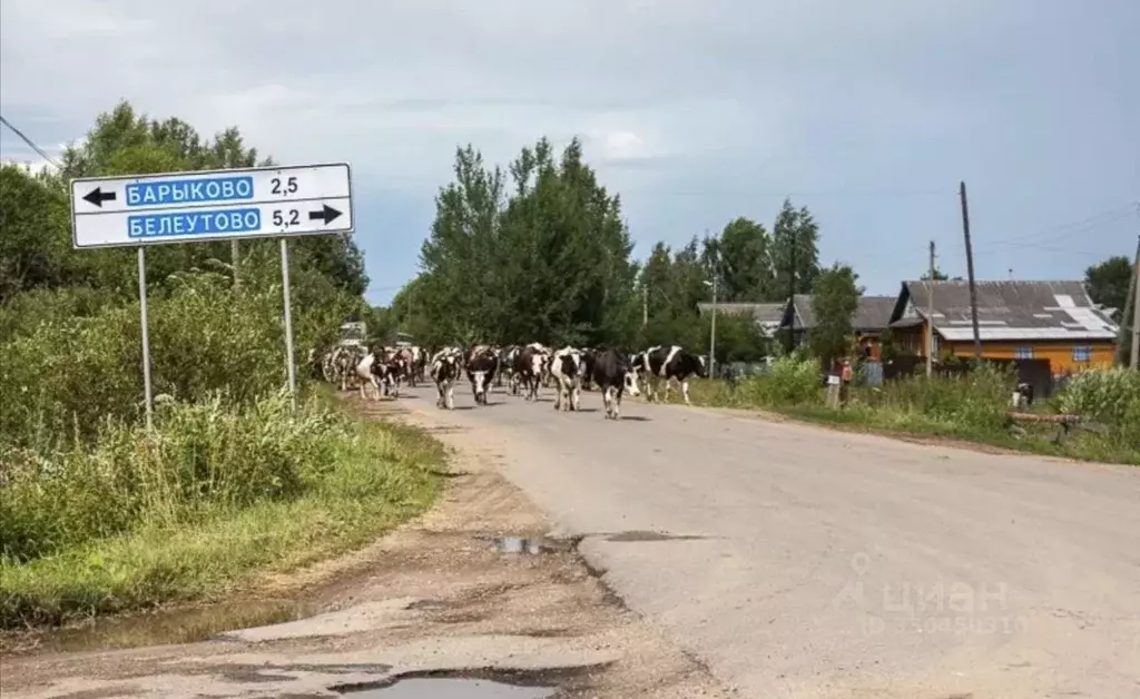 Участок в Тверская область, Кашинский муниципальный округ, д. ... - Фото 2