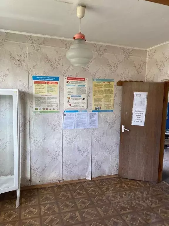 Помещение свободного назначения в Калининградская область, Неманский ... - Фото 1