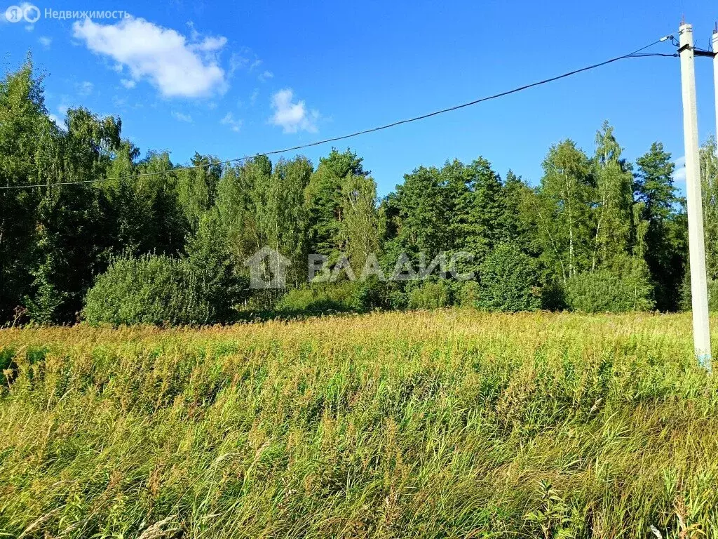 Участок в Московская область, Раменский муниципальный округ, КП Ёлкино ... - Фото 0