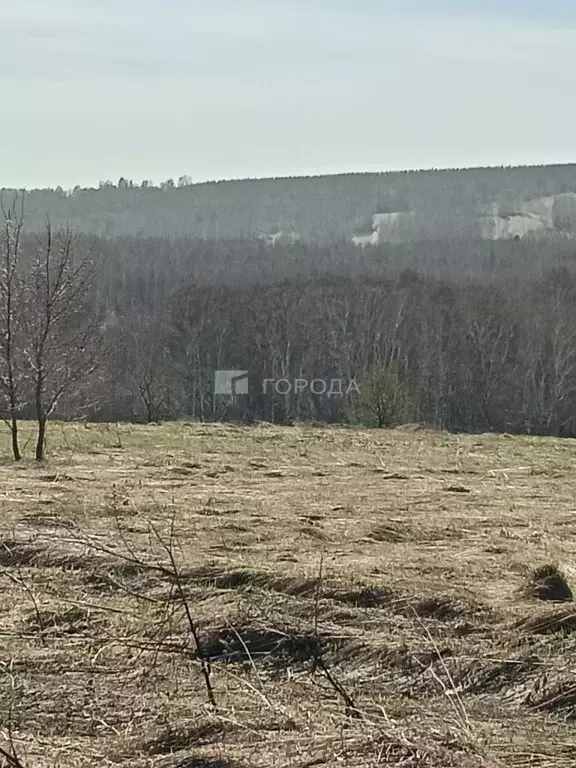 Участок в Кемеровская область, Новокузнецкий муниципальный округ, пос. ... - Фото 1