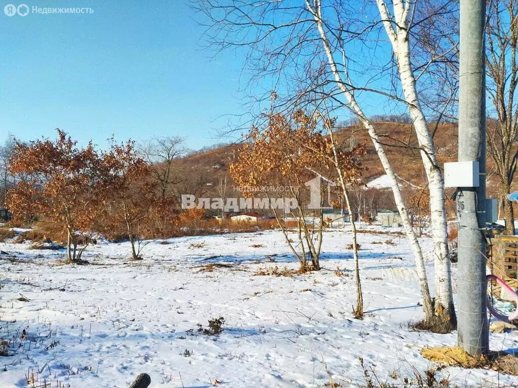 Участок в Находка, СНТ Зелёный сад, Озёрная улица (11 м) - Фото 1