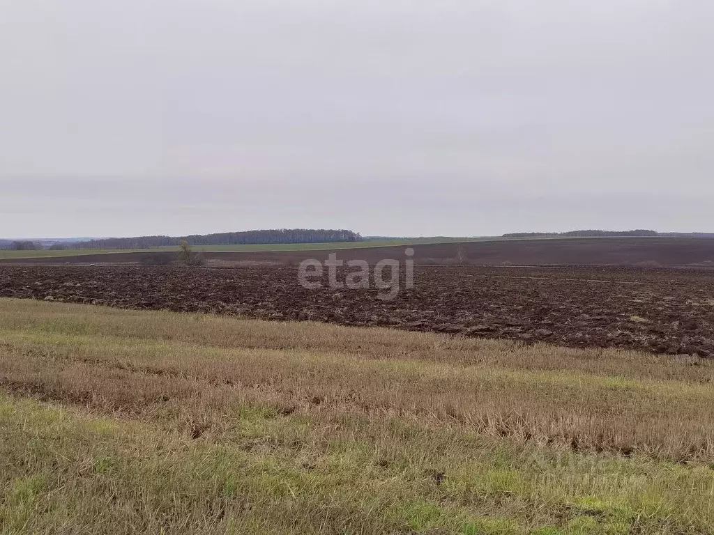 Участок в Адыгея, Тахтамукайское с/пос, Апостолиди хут. ул. Полевая ... - Фото 1