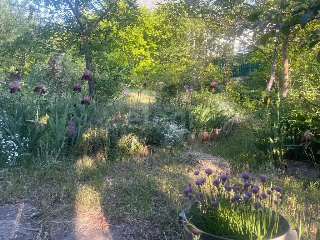 Участок в Краснодарский край, Анапа муниципальный округ, с. Супсех ул. ... - Фото 2