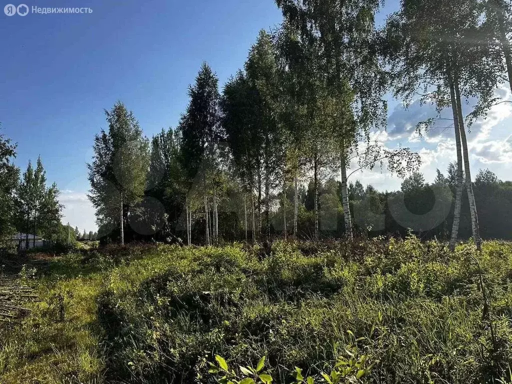 Участок в Череповецкий район, муниципальное образование Югское, ... - Фото 0