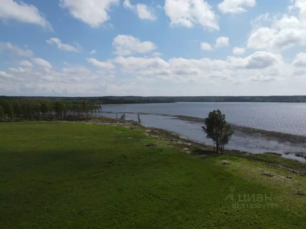 Участок в Ленинградская область, Выборгский район, Полянское с/пос, ... - Фото 1