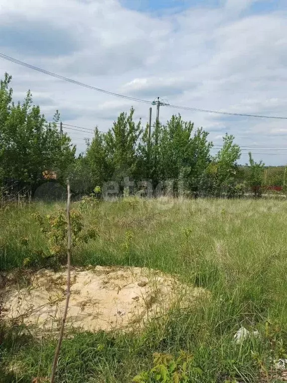 Участок 6,8 сот. (СНТ, ДНП) - Фото 1