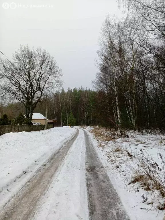 Участок в село Большая Липовица, Лесная улица, 26 (40 м) - Фото 1