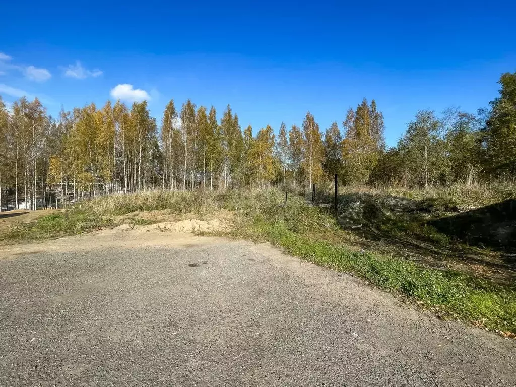 Участок в Ленинградская область, Всеволожский район, Лесколовское ... - Фото 1