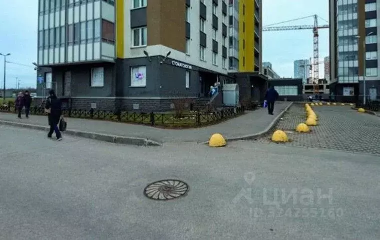 Помещение свободного назначения в Санкт-Петербург просп. Васнецовский, ... - Фото 1