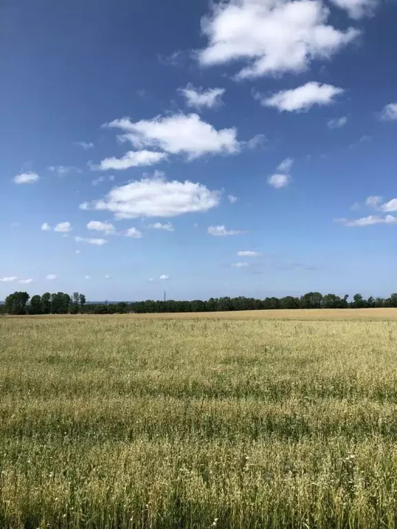 Участок в Волгоградская область, Городище рп ул. Имени Левитана, 95 ... - Фото 0