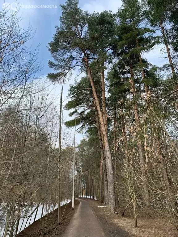 1-комнатная квартира: Ногинск, улица Дмитрия Михайлова, 2 (33 м) - Фото 2