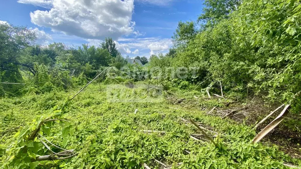 Участок в Московская область, Рузский муниципальный округ, пос. ... - Фото 2