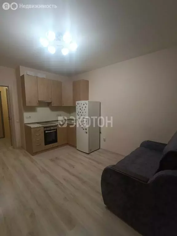 Квартира-студия: посёлок Шушары, Старорусский проспект, 13к1 (20.8 м) - Фото 2