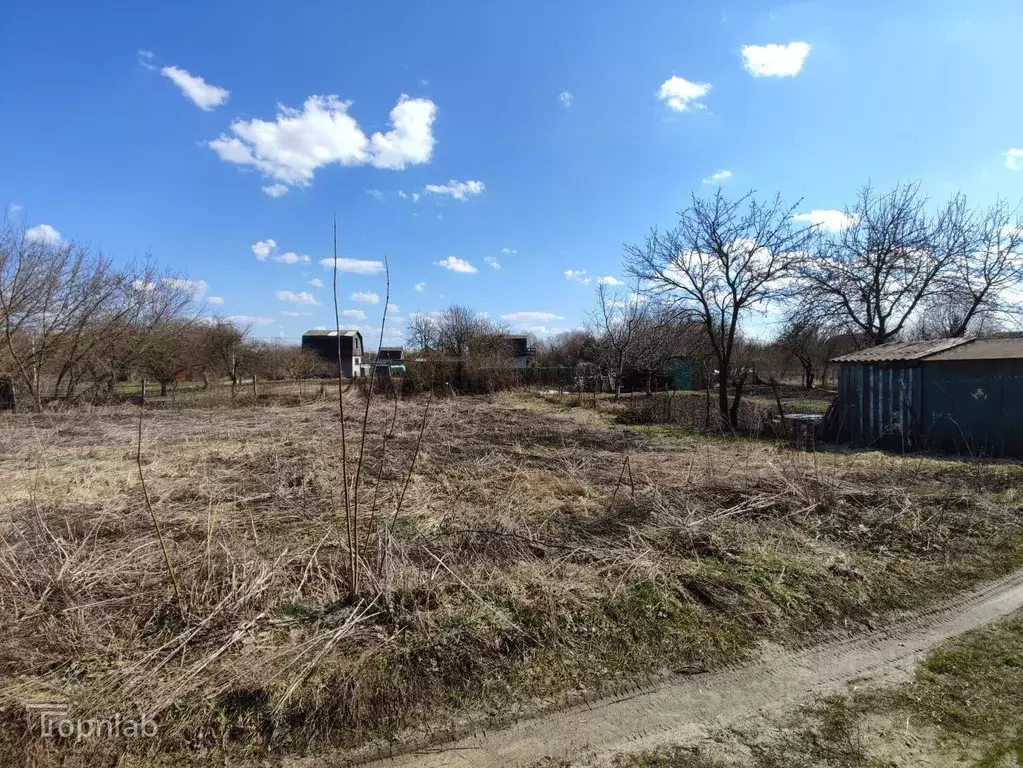 Участок в Брянская область, Брянский район, Снежское с/пос, с. ... - Фото 2
