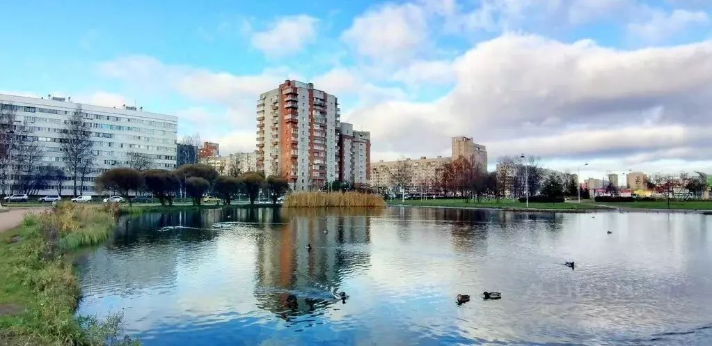 1-к кв. Санкт-Петербург просп. Просвещения, 53К1 (38.0 м) - Фото 1